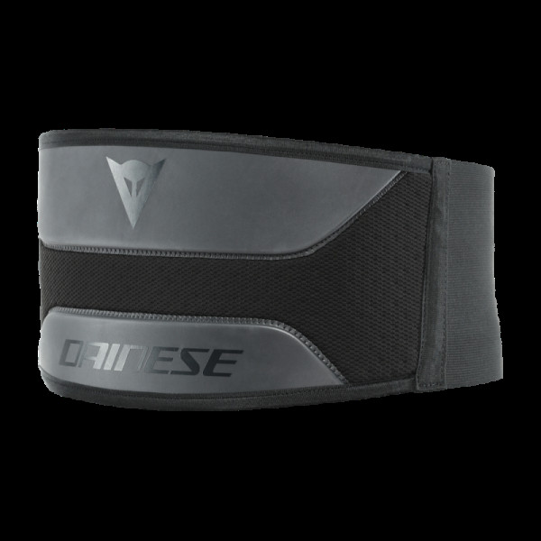Protectie lombara Dainese Culoare: Negru [1]
