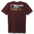 Tricou ALPINESTARS PAINTED Bordo [2]