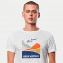 Tricou ALPINESTARS EXPO Alb [4]
